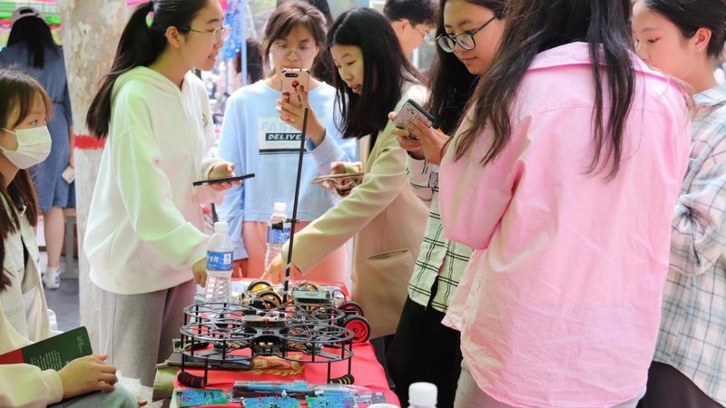 金融大数据分析系统：构建精准决策的基石**